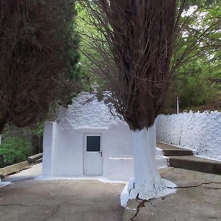 Small Traditional House In Asfendiou Kos Agios Dimitrios  Extérieur photo