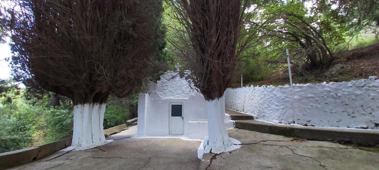 Small Traditional House In Asfendiou Kos Agios Dimitrios  Extérieur photo